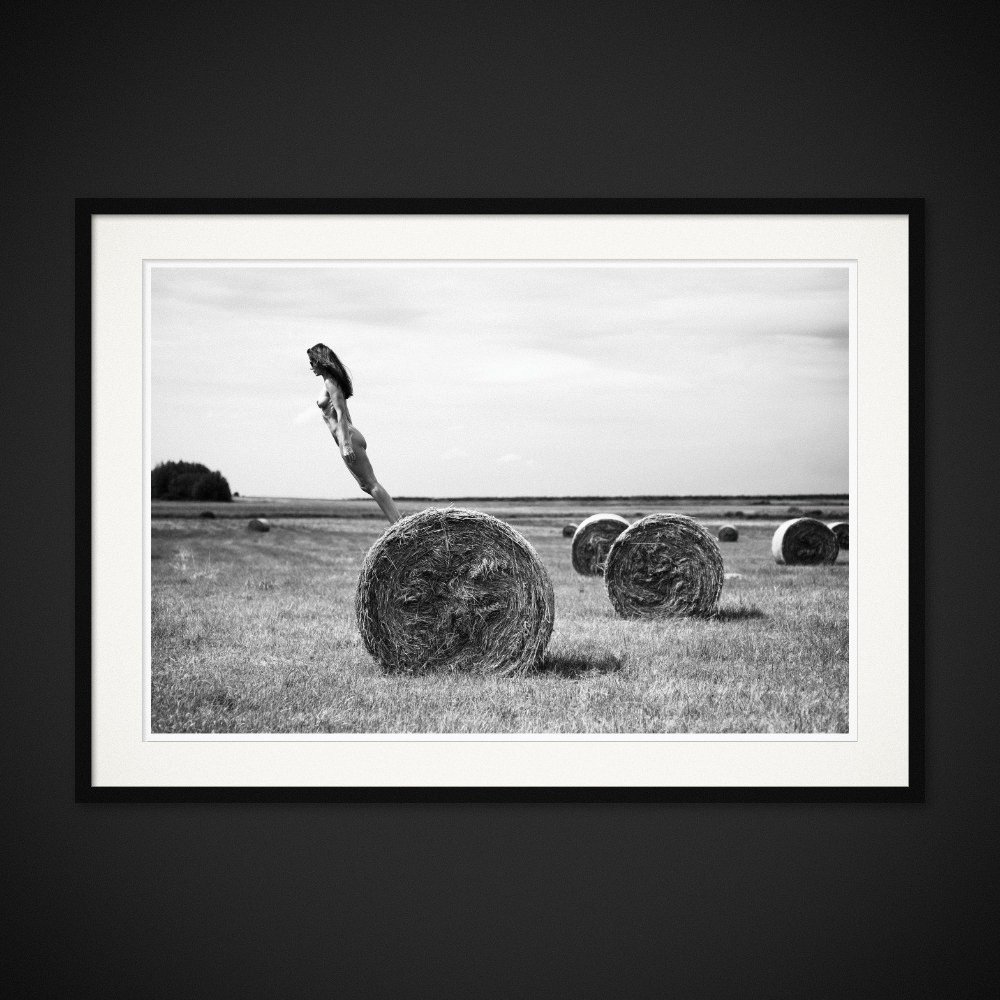 Field Of Gold — A body tips into the sky above a round hay bale. Framing preview by Albert Pocej; frame not included.