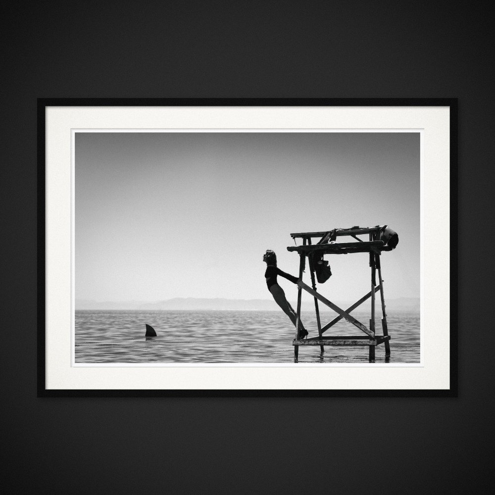 High Stakes — A woman leans above the water as a fin breaks its surface. Framing preview by Albert Pocej; frame not included.