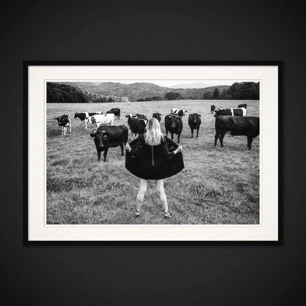Pastoral Call — A lifted skirt meets the gaze of a herd of cattle. Framing preview by Albert Pocej; frame not included.