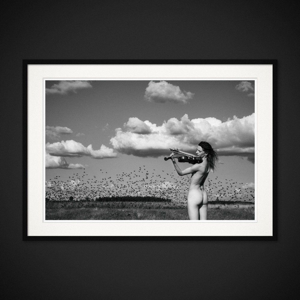 The Sound Of Being — A violin is played beneath clouds and a sky full of birds. Framing preview by Albert Pocej; frame not included.